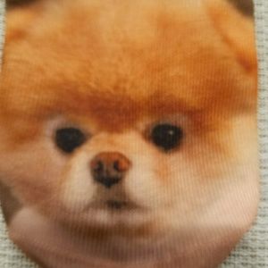 Accessories - NWOT Pomeranian Socks Accessories - NWOT Pomeranian Socks